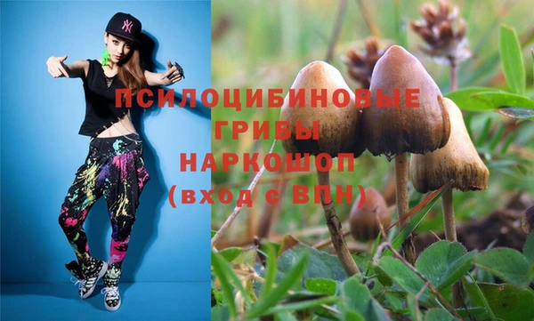 2c-b Беломорск