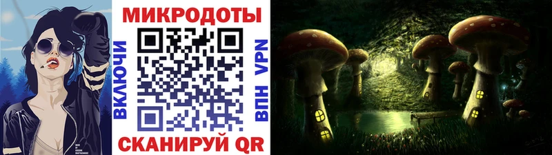 Галлюциногенные грибы Psilocybe наркотики Короча